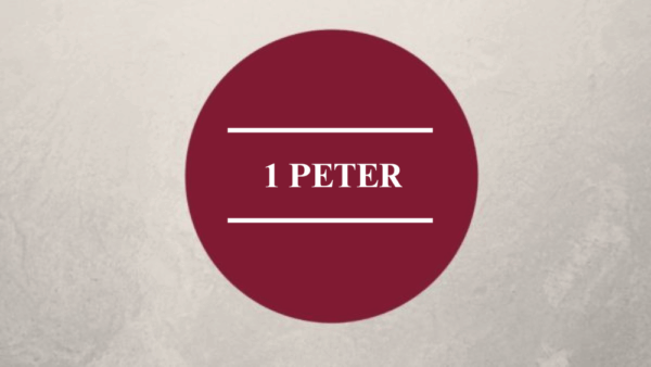 Submission, Jesus, and the Gospel Image